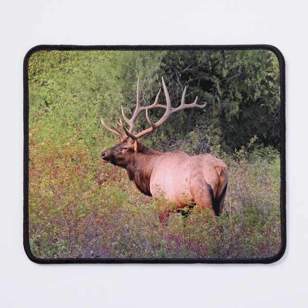 Item preview, rutting bull designed and sold by Rodney55.