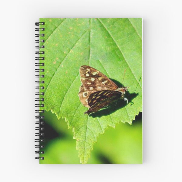 Item preview, specklewood butterfly designed and sold by Francespoppy.