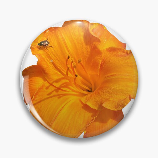 Item preview, Orange Lily Flower with Visiting Beetle  designed and sold by Portrayals.