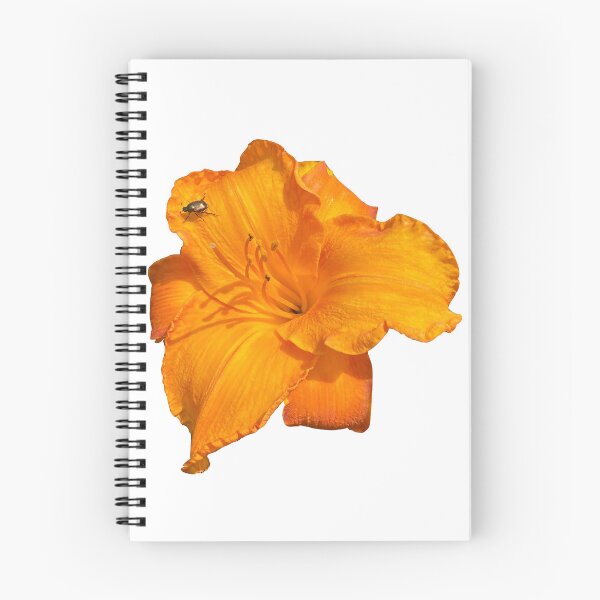 Item preview, Orange Lily Flower with Visiting Beetle  designed and sold by Portrayals.