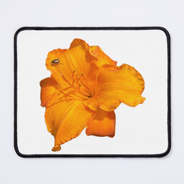 Item preview, Orange Lily Flower with Visiting Beetle  designed and sold by Portrayals.