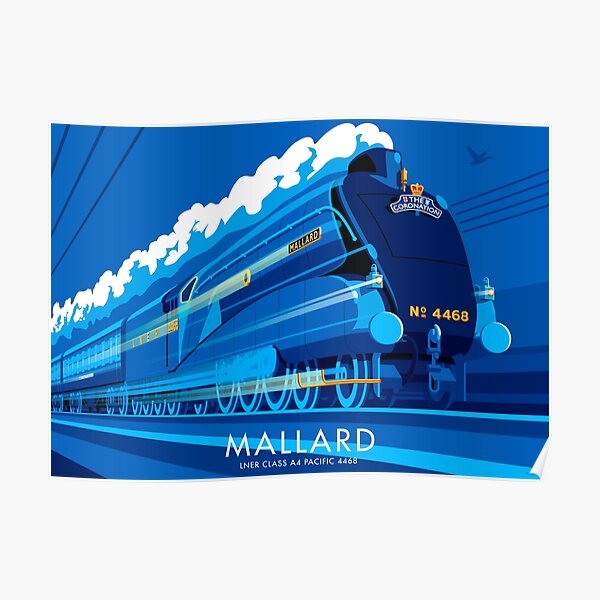 Mallard Poster