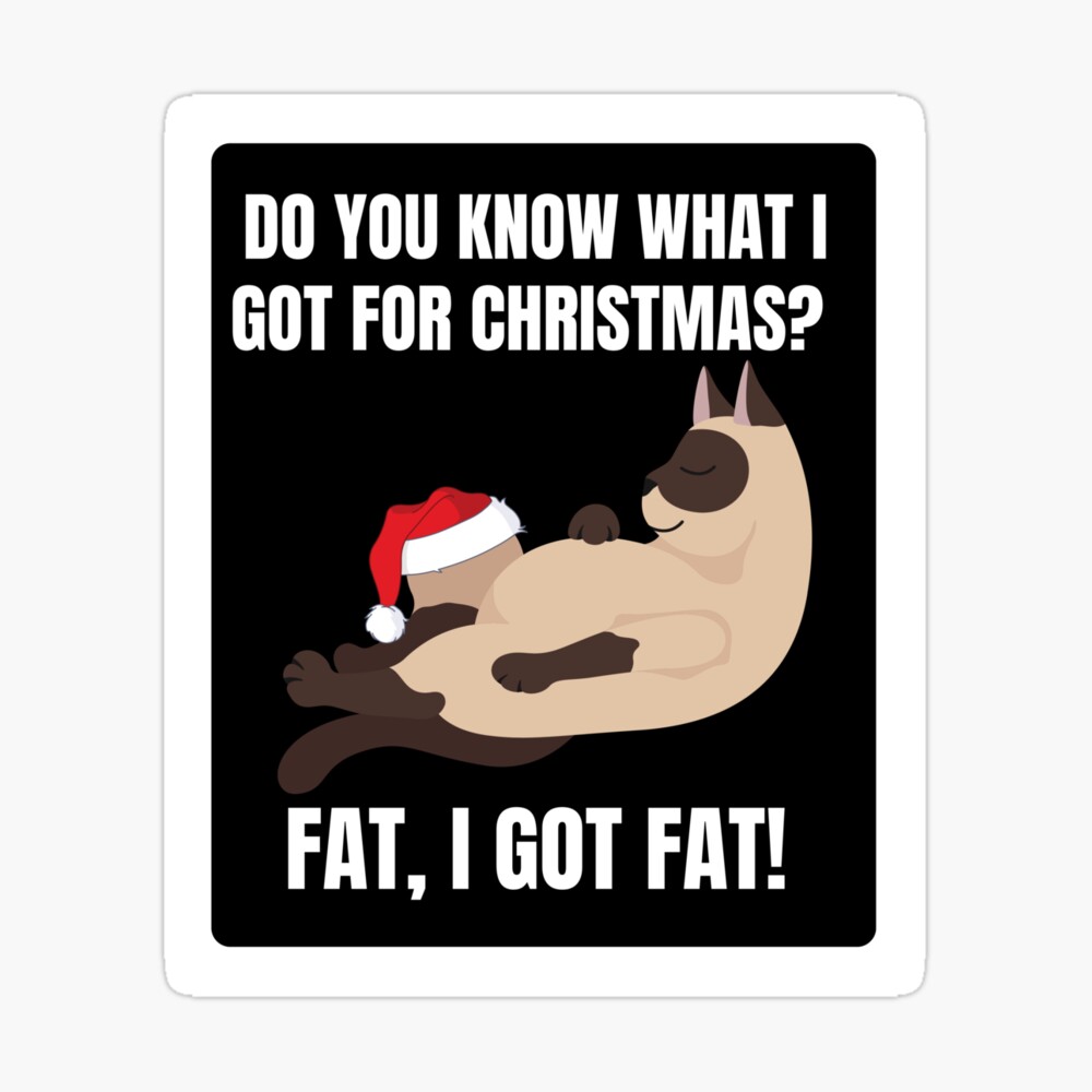 Cat Meme Do You Know That I Got For Fat I Got Fat Christmas T