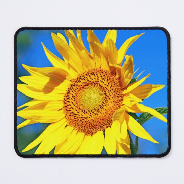 Item preview, Face The Sun designed and sold by Deb Oppermann.