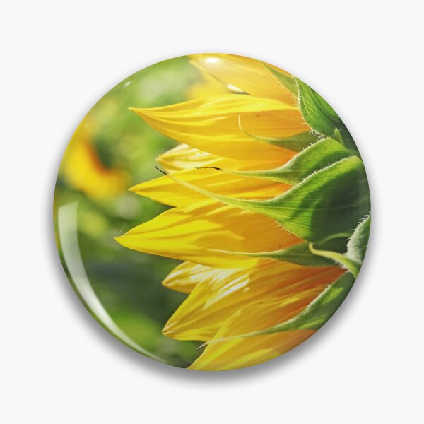 Item preview, Looking Back Sunflower I designed and sold by Deb Oppermann.