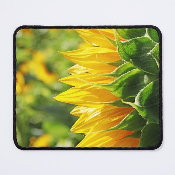 Item preview, Looking Back Sunflower I designed and sold by Deb Oppermann.