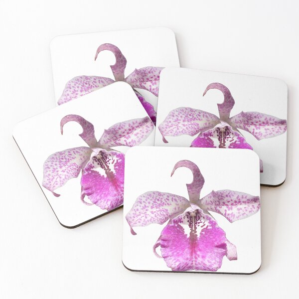 Item preview, Brassocattleya orchid  designed and sold by Floral-Art.