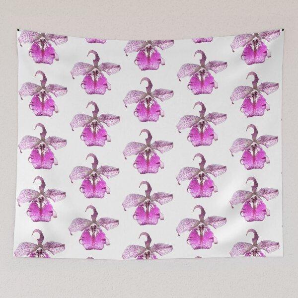 Item preview, Brassocattleya orchid  designed and sold by Floral-Art.