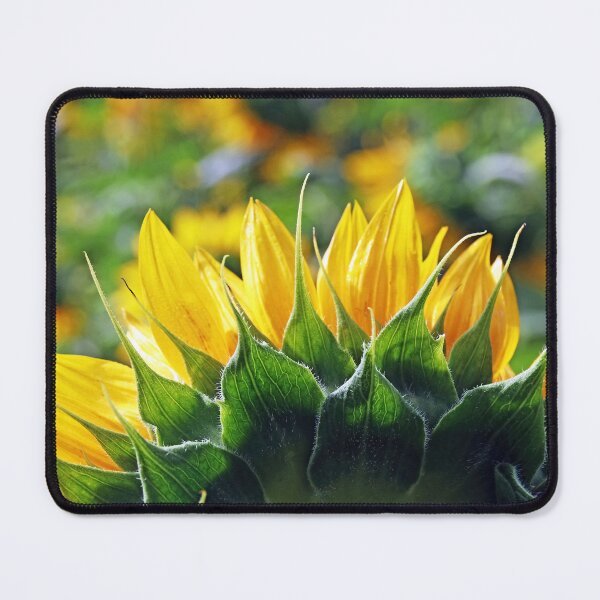 Item preview, Looking Back Sunflower II designed and sold by Deb Oppermann.
