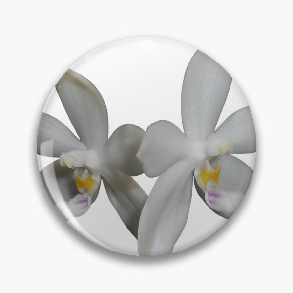 Item preview, Phalaenopsis tetraspis orchid designed and sold by Floral-Art.