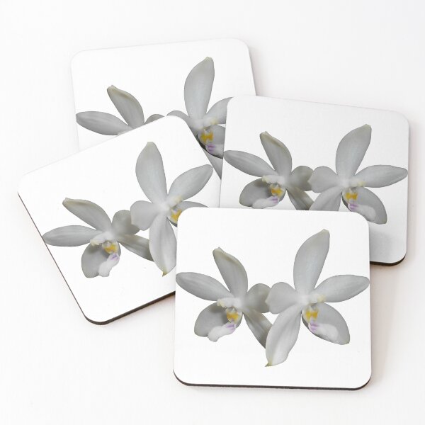 Item preview, Phalaenopsis tetraspis orchid designed and sold by Floral-Art.