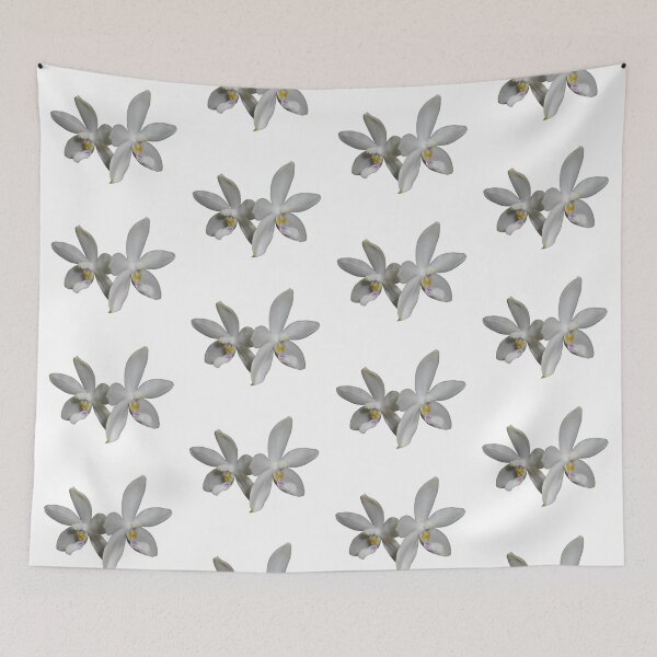 Item preview, Phalaenopsis tetraspis orchid designed and sold by Floral-Art.