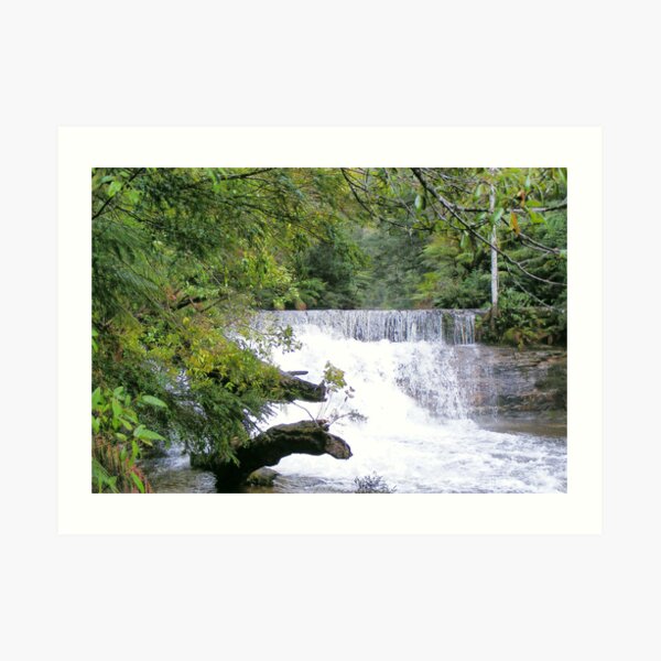 upper Liffey Falls, Tasmania Art Print