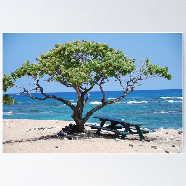 Item preview, hawaii designed and sold by Shaina Haynes.
