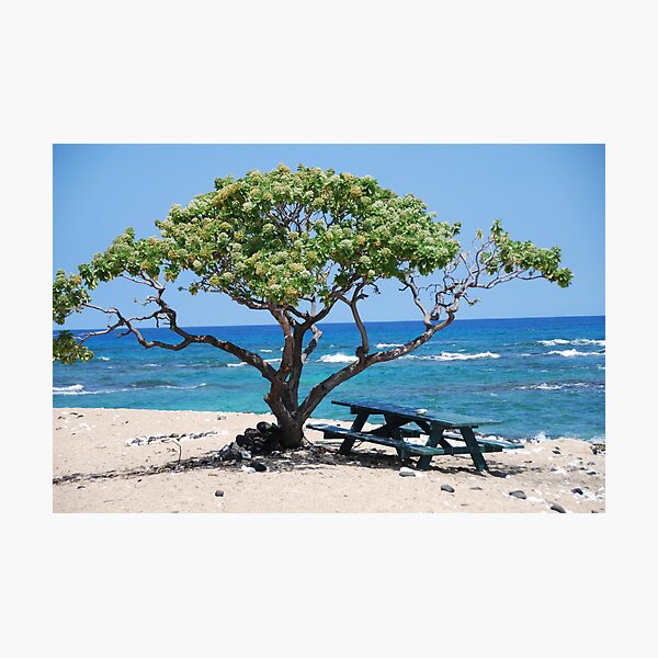 Item preview, Hawai designed and sold by Shaina Haynes.