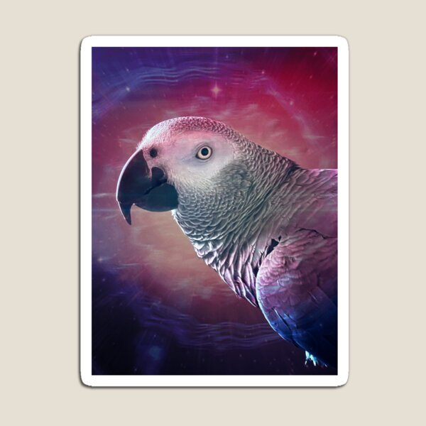 Item preview, African Grey Parrot designed and sold by Redtailedbailys.