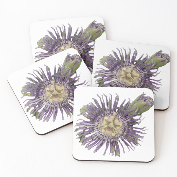 Item preview, Blue Passionflower Hybrid designed and sold by Floral-Art.