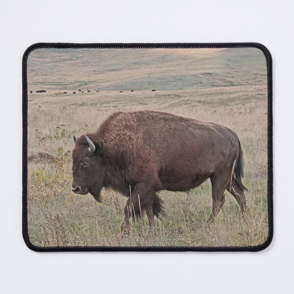 Item preview, Bison #130 designed and sold by Rodney55.