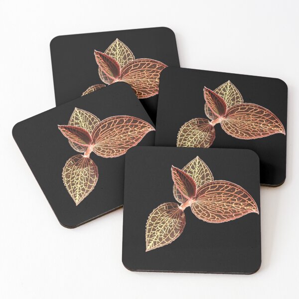 Item preview, Anoectochilus albolineatus (dark background) designed and sold by Floral-Art.