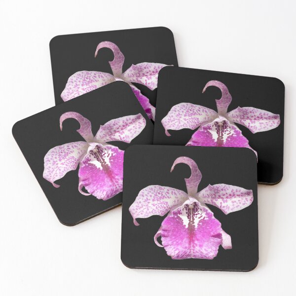 Item preview, Brassocattleya hybrid orchid (dark background) designed and sold by Floral-Art.