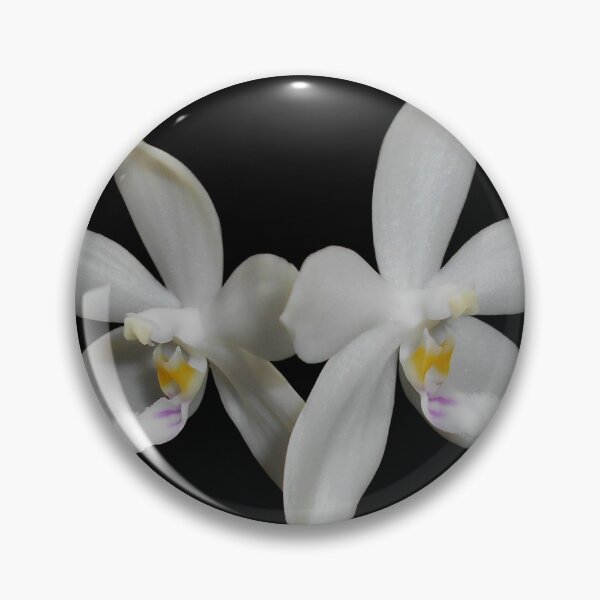 Item preview, Phalaenopsis tetraspis orchid (dark background) designed and sold by Floral-Art.