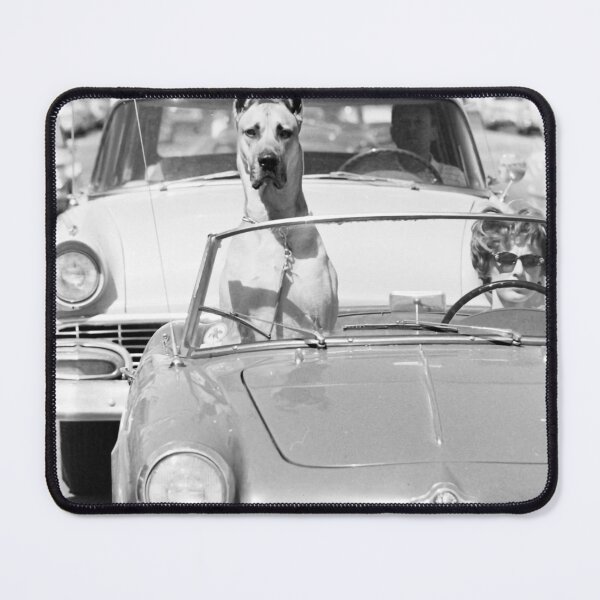 Item preview, Animal Hollywood Dog designed and sold by Chiquitamcghee.