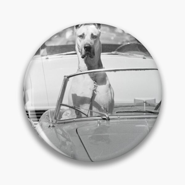 Item preview, Animal Hollywood Dog designed and sold by Chiquitamcghee.