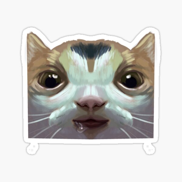 "drool cat" Sticker for Sale by aphelionae Redbubble