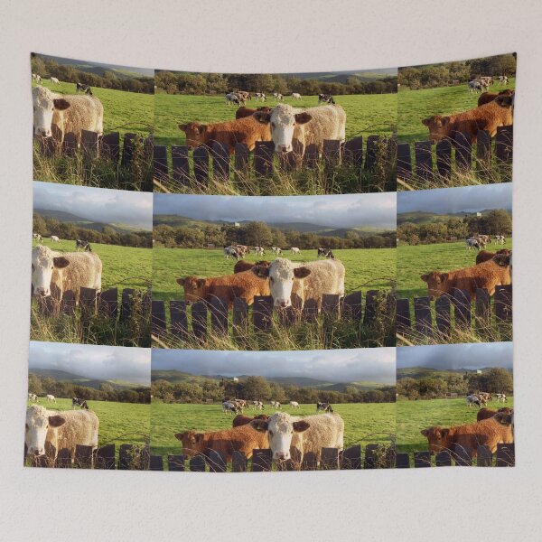 Item preview, Cows of Llanfairfechan designed and sold by Michael Haslam.