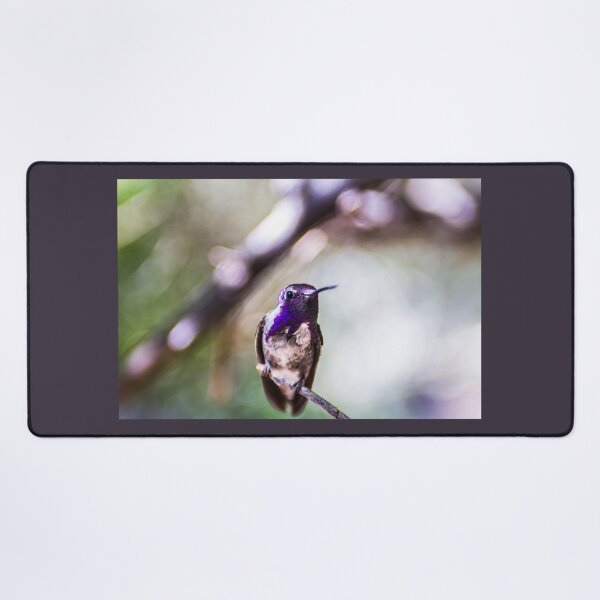 Item preview, Hummingbrid designed and sold by madtrollhunter.