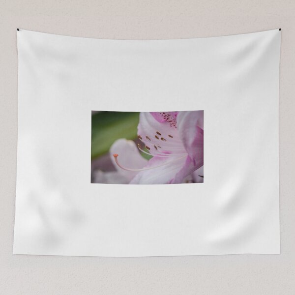 Item preview, Macro Pink Flower  designed and sold by D-GaP.