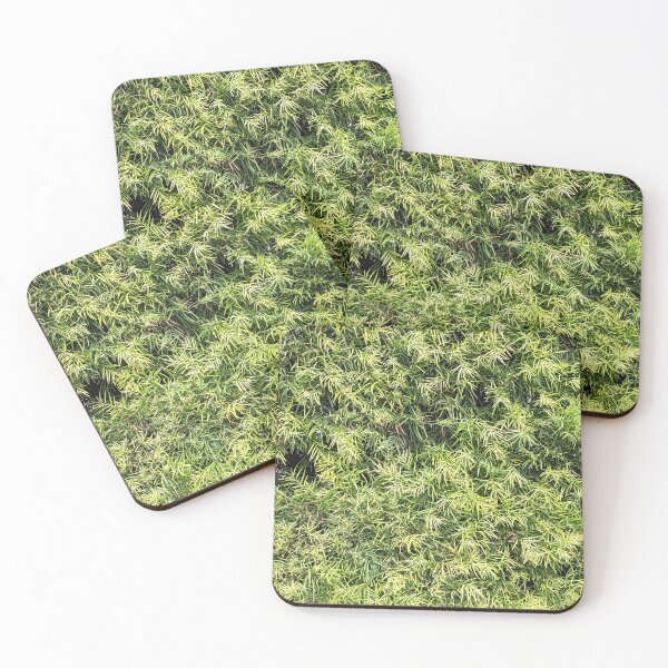 Item preview, Burbank Studio Bush Plant designed and sold by SanArtcisco.