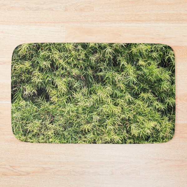 Item preview, Burbank Studio Bush Plant designed and sold by SanArtcisco.