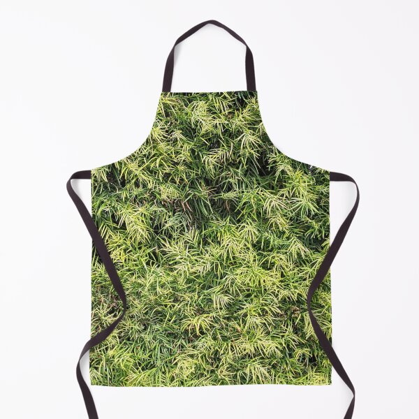 Item preview, Burbank Studio Bush Plant designed and sold by SanArtcisco.