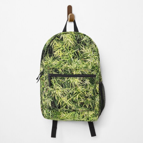 Item preview, Burbank Studio Bush Plant designed and sold by SanArtcisco.