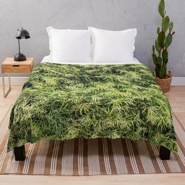 Item preview, Burbank Studio Bush Plant designed and sold by SanArtcisco.