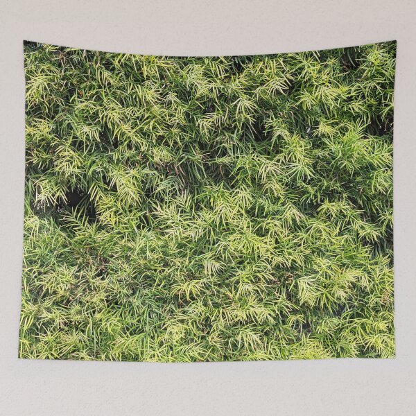 Item preview, Burbank Studio Bush Plant designed and sold by SanArtcisco.
