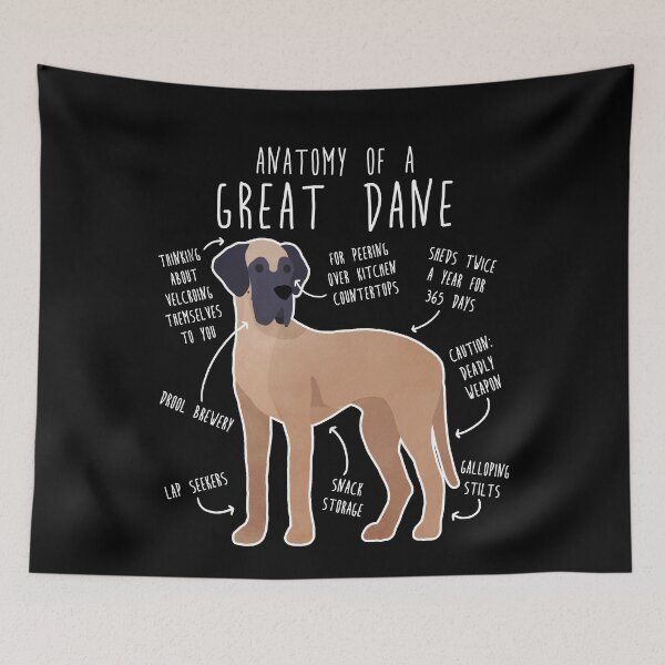 Item preview, Fawn Great Dane Dog Anatomy designed and sold by Clara Hollins.