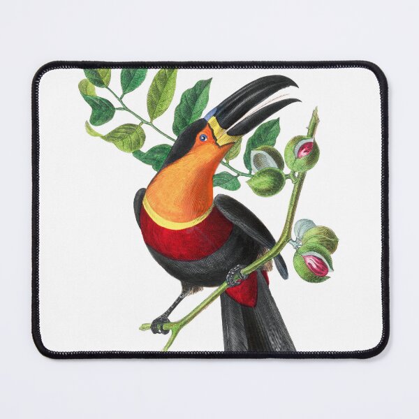 Item preview, Le Jardin Des Plantes / The beauty of Classic Art / Paul Gervais designed and sold by JJAarts.