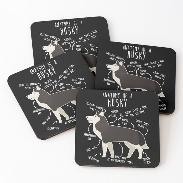 Item preview, Black and White Siberian Husky Dog Anatomy designed and sold by Clara Hollins.