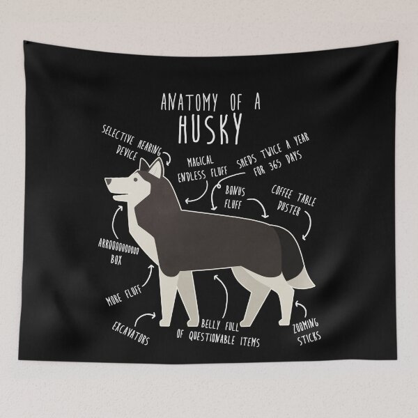 Item preview, Black and White Siberian Husky Dog Anatomy designed and sold by Clara Hollins.