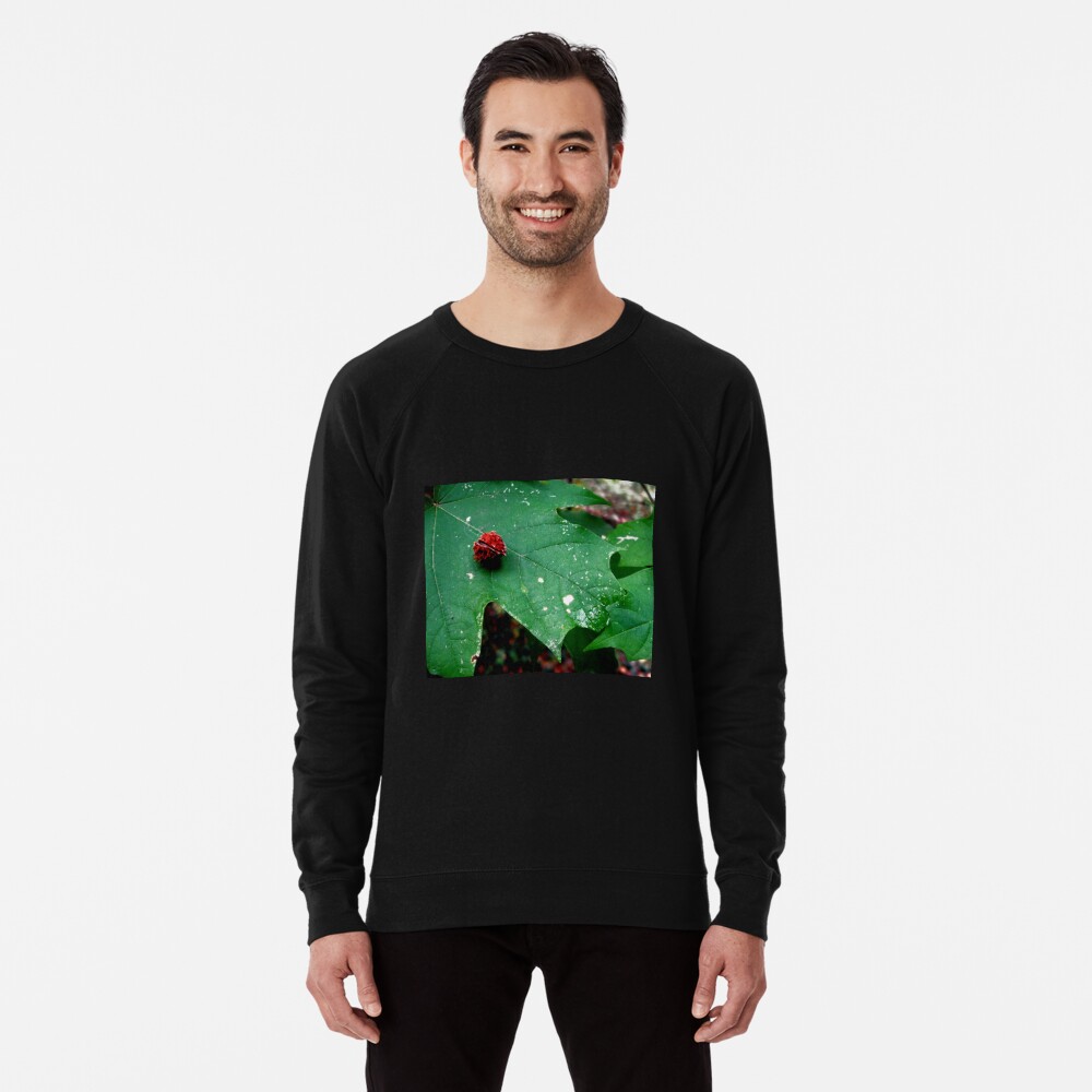 Item preview, Lightweight Sweatshirt designed and sold by ddgryphon.