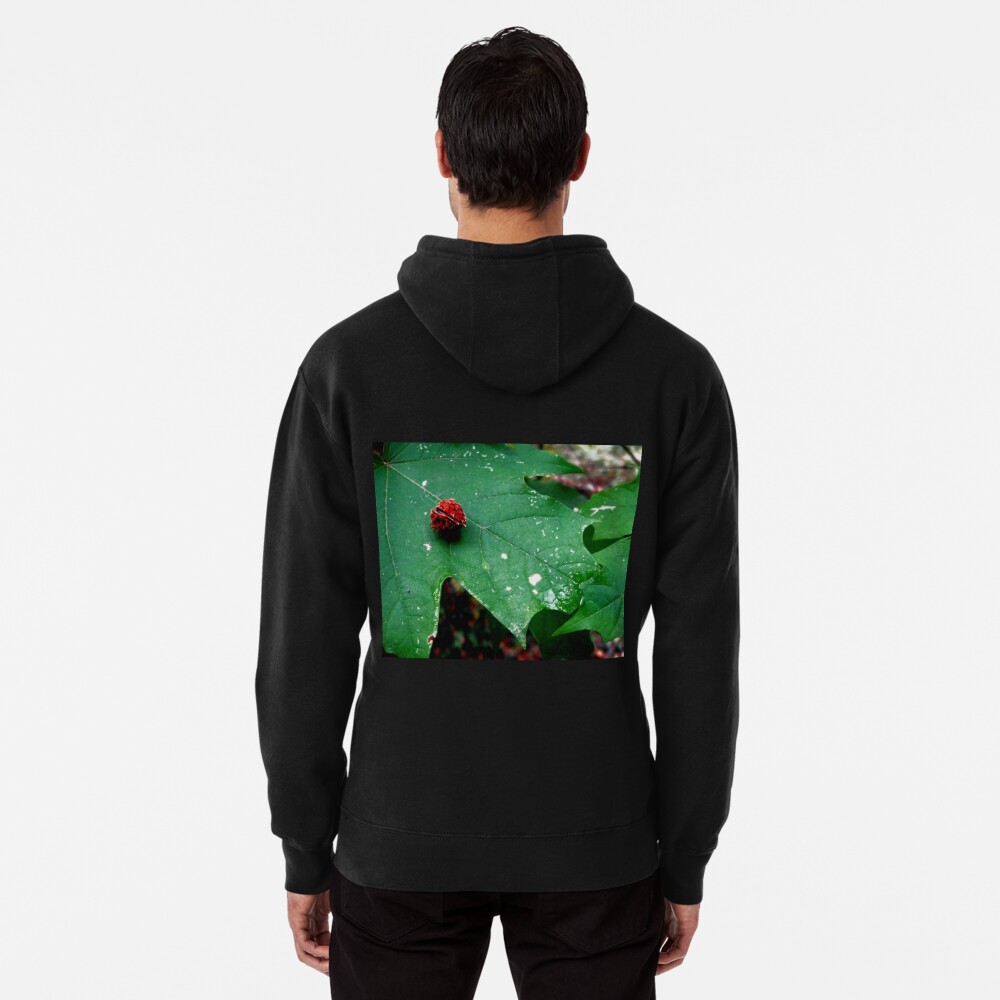 Item preview, Pullover Hoodie designed and sold by ddgryphon.