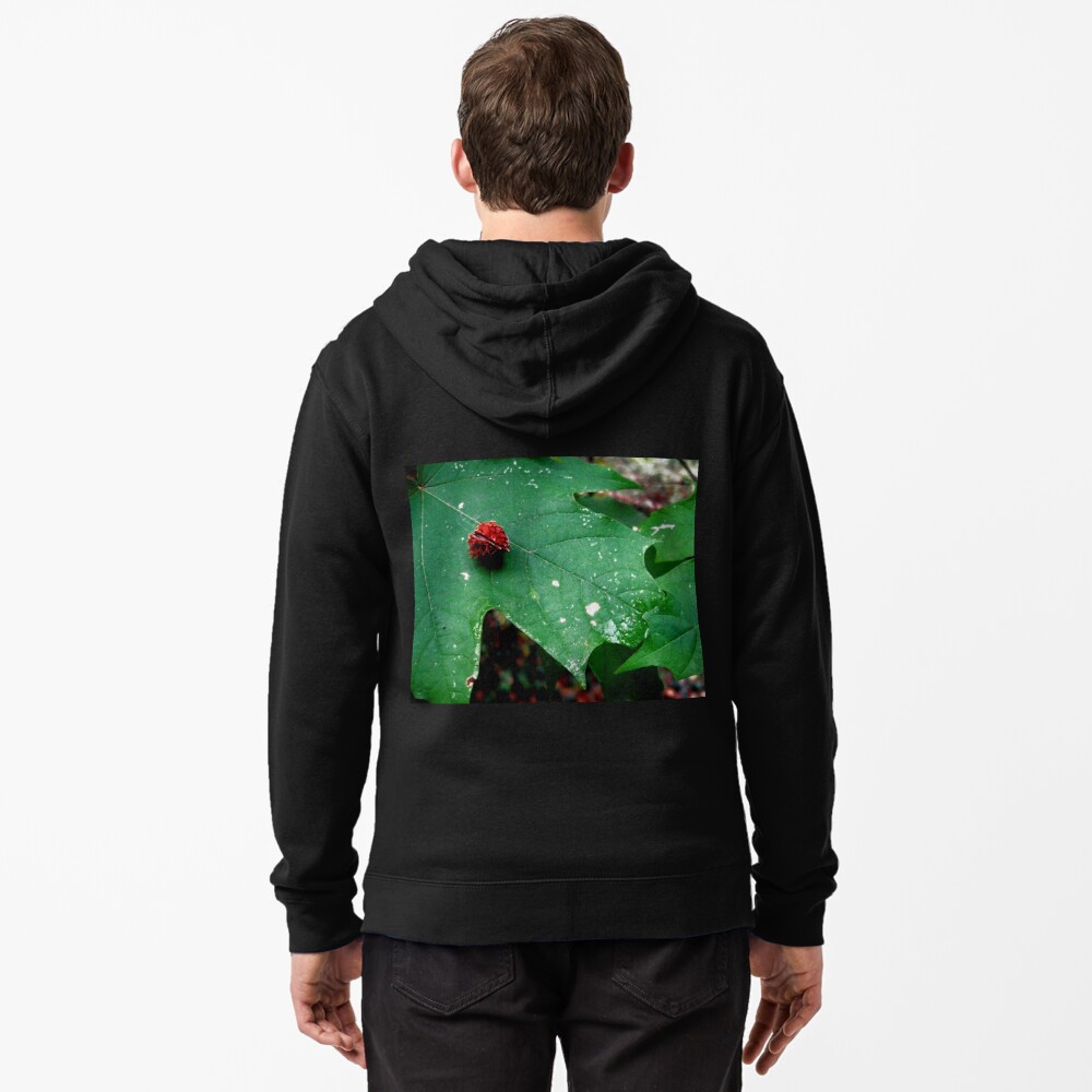 Item preview, Zipped Hoodie designed and sold by ddgryphon.