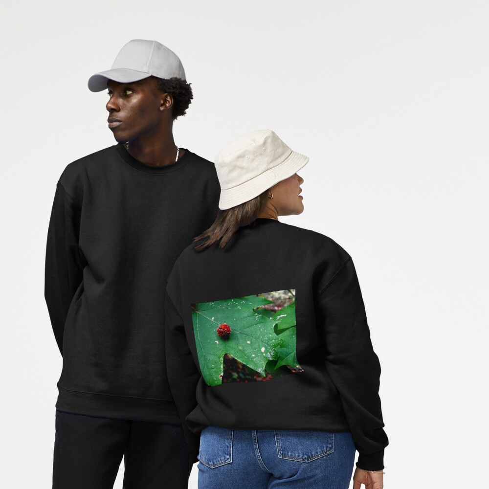 Item preview, Pullover Sweatshirt designed and sold by ddgryphon.