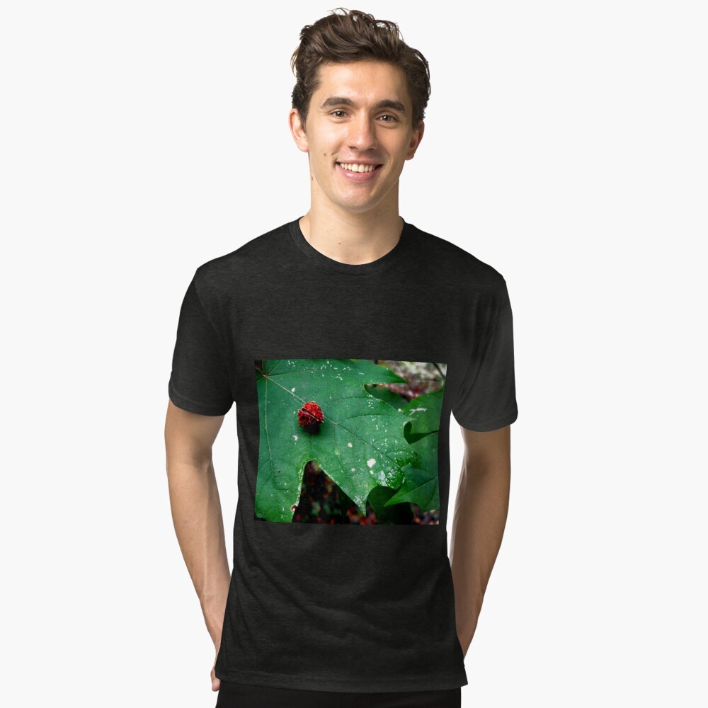 Item preview, Tri-blend T-Shirt designed and sold by ddgryphon.