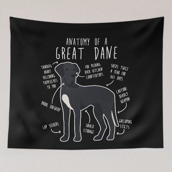 Item preview, Black Great Dane Dog Anatomy designed and sold by Clara Hollins.