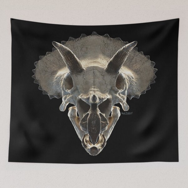 Item preview, Triceratops - Skull designed and sold by DavidPenfound.