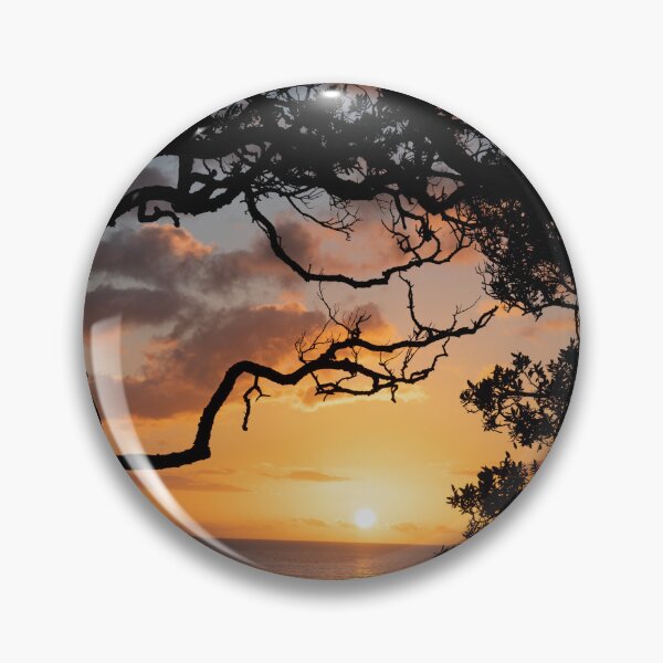 Item preview, Sunrise over coast framed by silhouette foliage of pohutukawa tree on edge of slope. designed and sold by Brian Scantlebury.