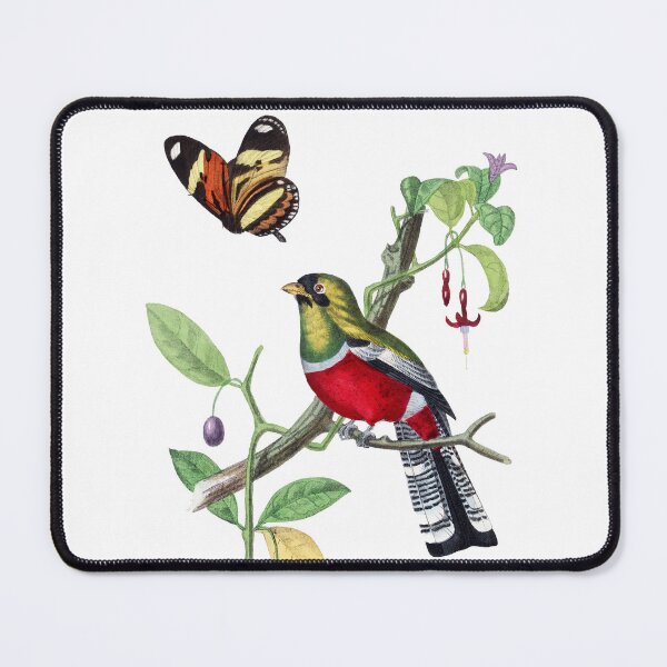 Item preview, Le Jardin Des Plantes / The beauty of Classic Art / Paul Gervais designed and sold by JJAarts.